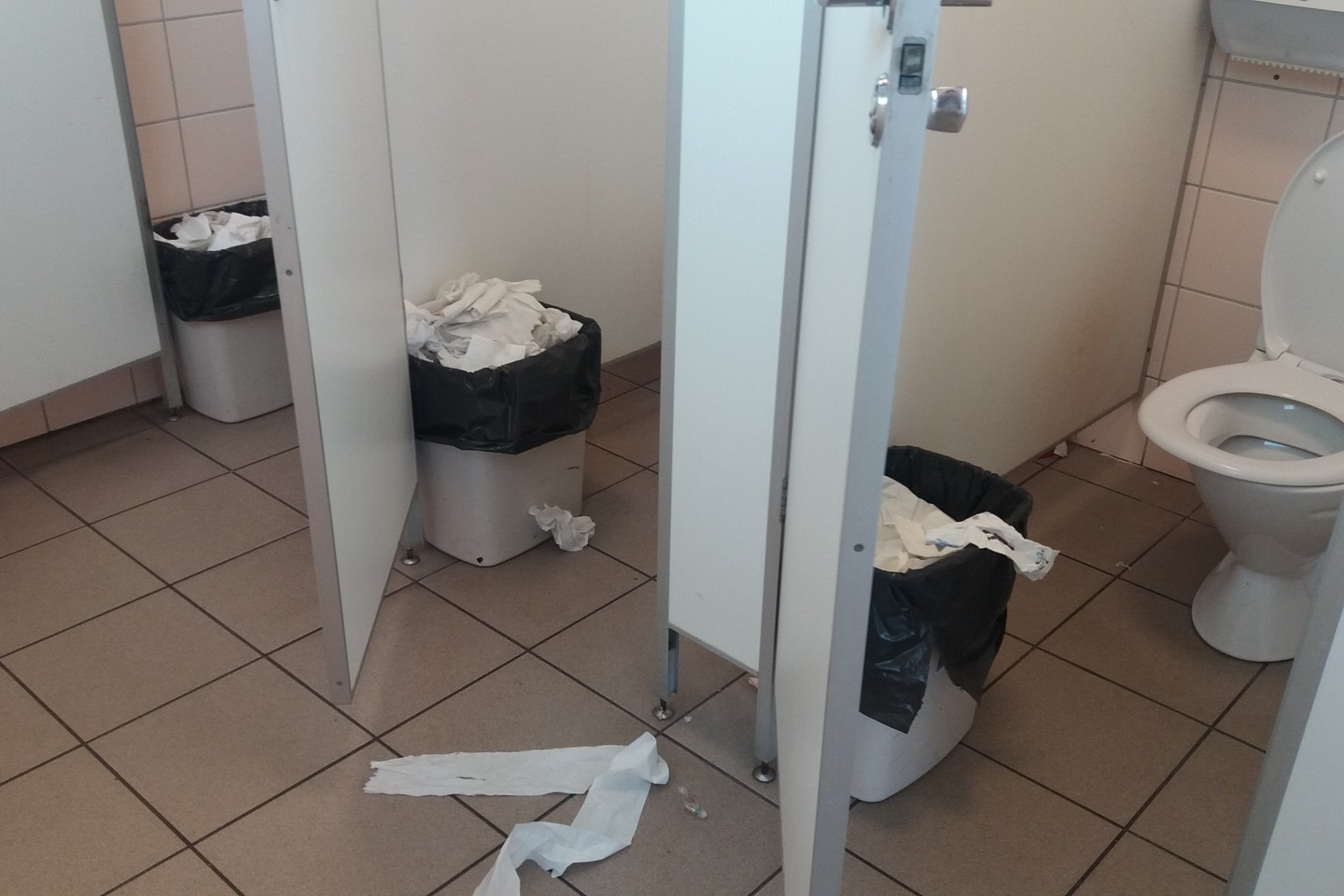 Grįžusi iš užsienio pasibaisėjo tvarka degalinės tualetuose.<br> Autorės nuotr.