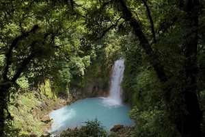 Kvapą gniaužiantys lietuvių fotografo kadrai iš Kosta Rikos abejingų nepaliks
