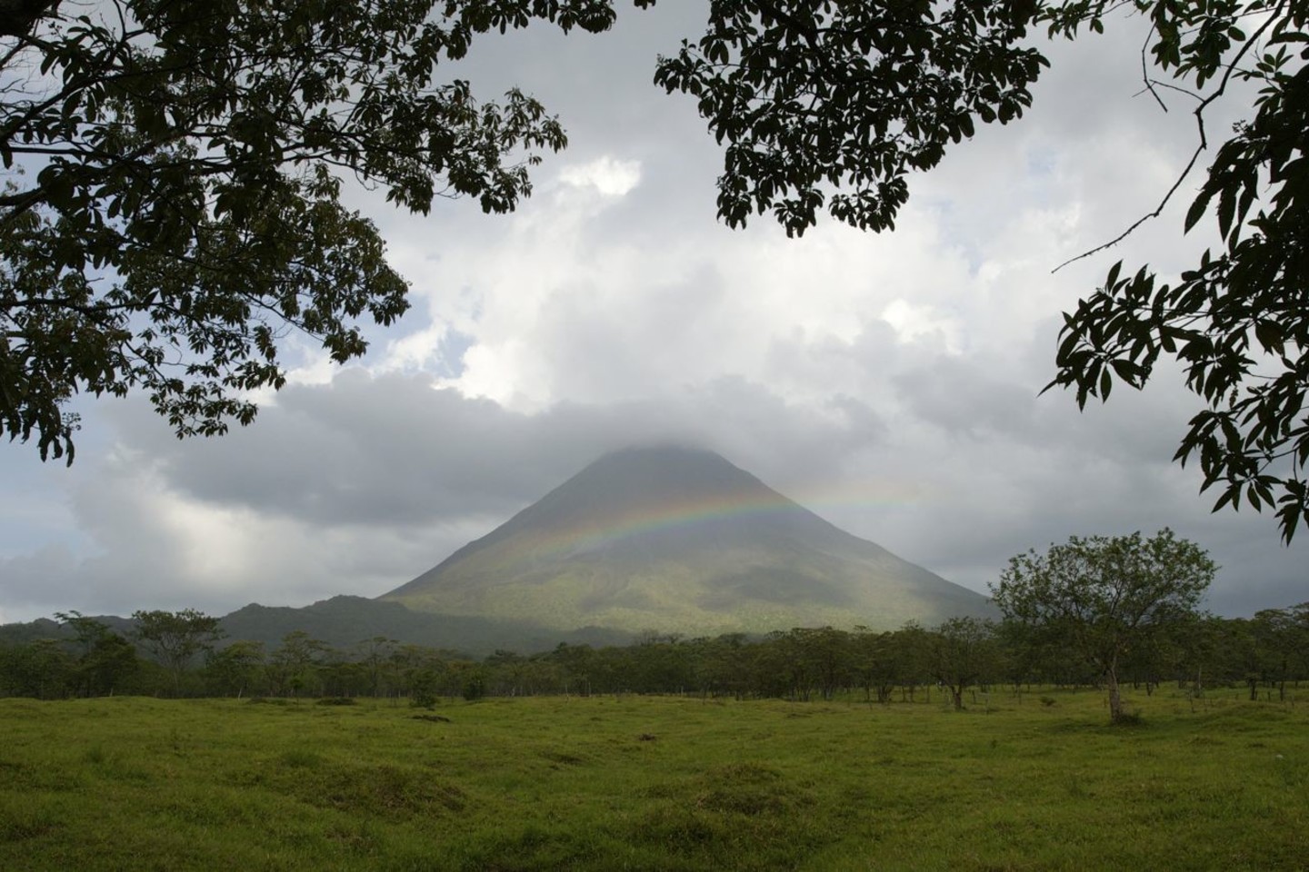  Didžioji Kosta Rikos teritorija apaugusi miškais, turtingais augalija bei gyvūnija, apie 23 proc. miškų paversti saugomais draustiniais ir nacionaliniais parkais.<br> R. Anusausko nuotr.