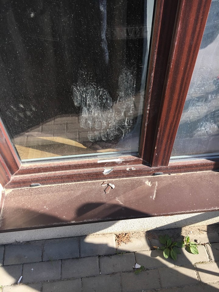 Per lango rėmus į namą patekdavo skruzdėlės.