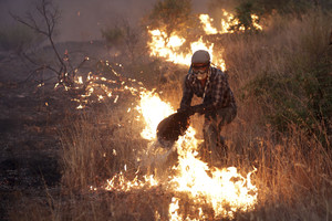 Portugalija vėl grumiasi su miškų gaisrais