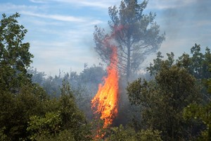 Prancūzijos tarnybos suvaldė didžiulį gaisrą prie Viduržemio jūros