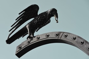 Paukščių valdovė: mergaitė gauna dovanas iš varnų