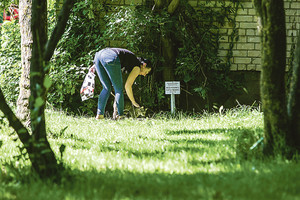 Benamės katės mieste – tarp meilės ir neapykantos