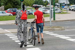 Policijos reiduose pajūryje – ypatingas dėmesys dviratininkams