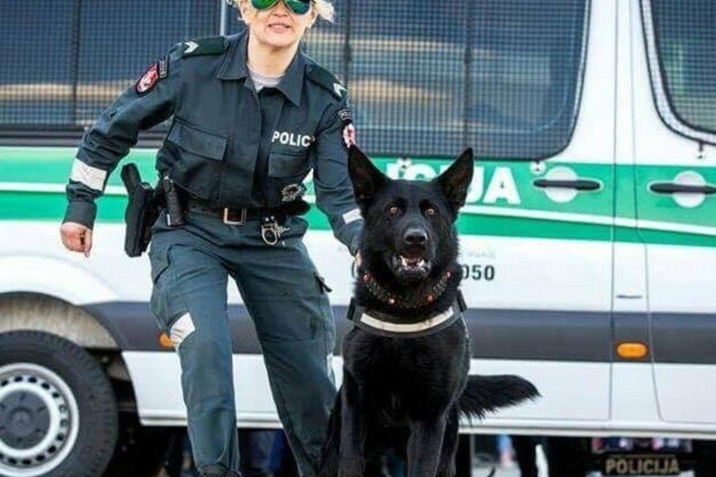  Policijos šuo Voodoo rado pasiklydusią moterį.<br> Policija.lt nuotr.