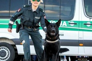 Pasiklydusią ir susižalojusią moterį surado policijos šuo