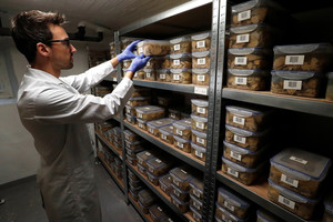 Kam milijardieriui stiklainis, arba keisčiausios turtuolių kolekcijos