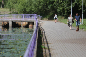 Radinys Palangos upelyje poilsiautojus privertė dengti vaikams akis