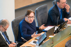 Aušra Maldeikienė nori grįžti prie senos veiklos: ieško mokytojo