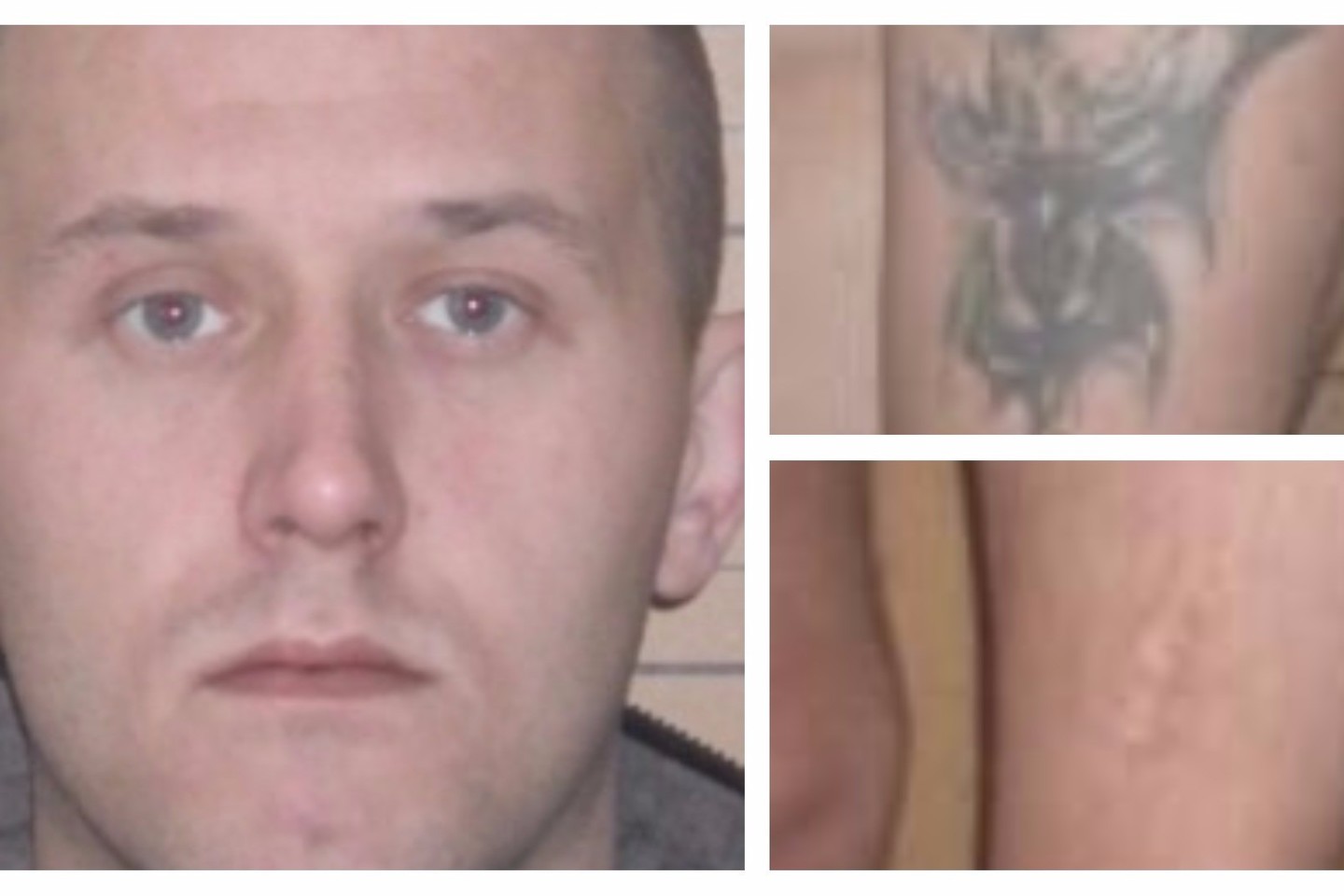 Vyras turi ant rankos tatuiruotę, kurios piešinį policija išplatino. Ieškomas asmuo taip pat ant rankos vidinės pusės turi randą.