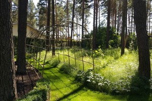 Naują jaukų kiemą galima susikurti  per kelias dienas – vilnietės pamokos