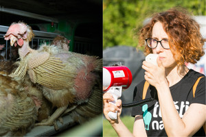 Įtampa dėl paukštyno kaista: VMVT pareigūnui pasipylė grasinimai