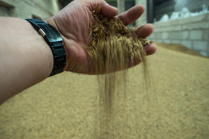 Žinia sukčiaujantiems ekologiškų produktų augintojams: rizikuoti tikrai neverta