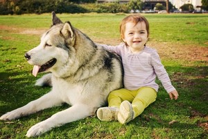 Paaiškėjo tikroji tiesa apie šunų jausmus