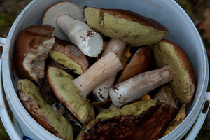 Kurių vasaros gėrybių reikėtų valgyti daugiau, o nuo kurių geriau susilaikyti