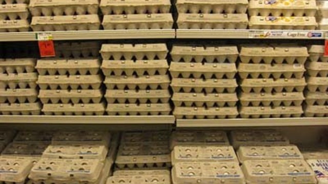 Aliarmas Nyderlanduose: naikina milijonus pesticidais užterštų kiaušinių