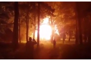 Po gaisro Rumšiškėse – perspėjimas: „Tas pats laukia ir Trakų pilies“