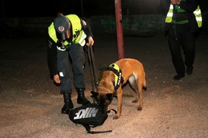 Pareigūnų užklupti jaunuoliai „takelių“ sušniaukšti jau nespėjo