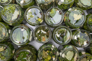 Traškūs agurkėliai žiemai: nereikės nei acto, nei kaitinti 