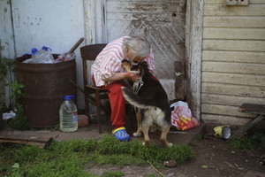 Išgelbėti nepavyko: keturkojai palikti gyventi baisiomis sąlygomis