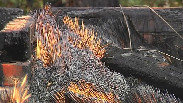 Ekspertai abejoja, kad gaisrą Rumšiškėse sukėlė fejerverkai