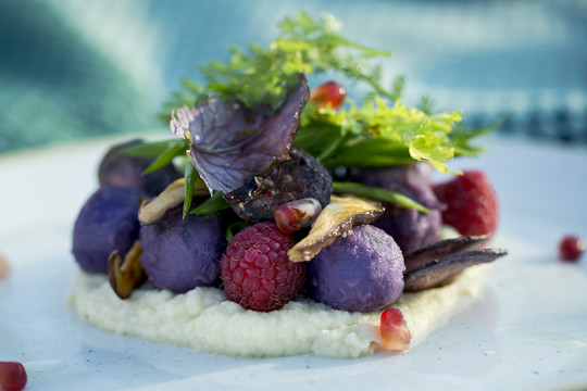 Žemuogių pievoje  – šefo sukurti veganiški patiekalai