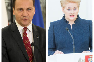 Dalia Grybauskaitė sureagavo į buvusio Lenkijos ministro norą „paauklėti lietuvius“