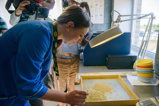 Kai duona ir kitas maistas brangsta, yra tai, ko iki soties prisikirsite nebrangiai