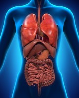 Šie požymiai išduoda, kad jūsų virškinimo traktui labai blogai