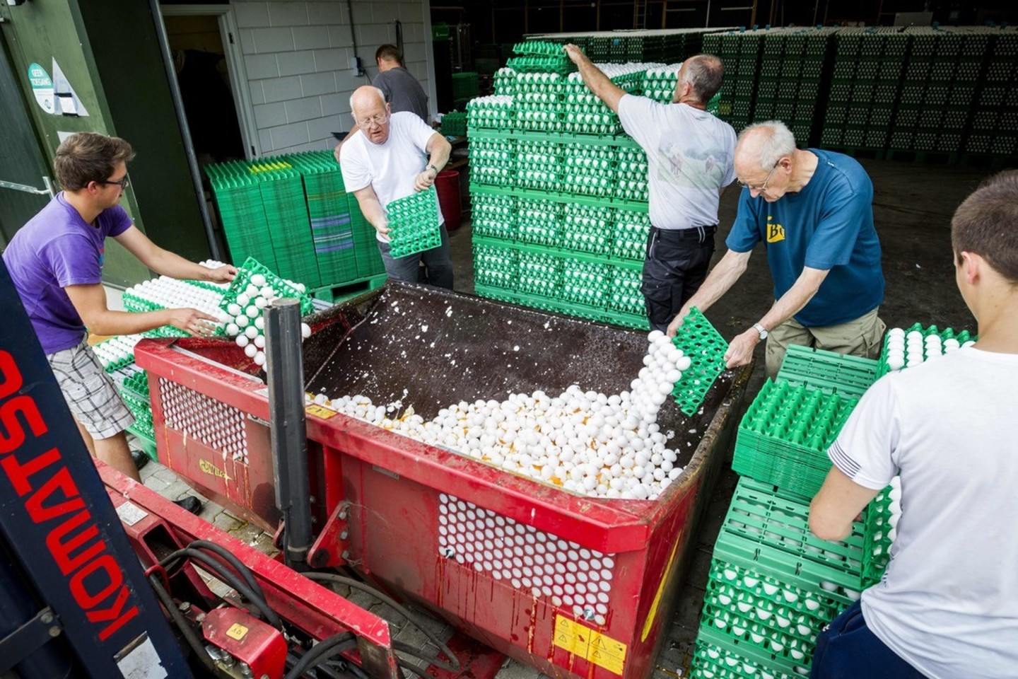  Manoma, kad chemikalų pėdsakų kiaušiniuose aptikta, kai jo neteisėtai pridėta prie produktų, kuriuos paukštynai naudoja vištų apsaugai nuo blusų, utėlių ir erkių.<br> Reuters/AFP nuotr.