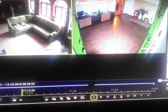 Namuose įsirengė kameras, bet po pamatytų vaizdų trokšta, kad jų nebeliktų