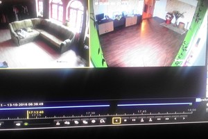 Namuose įsirengė kameras, bet po pamatytų vaizdų trokšta, kad jų nebeliktų