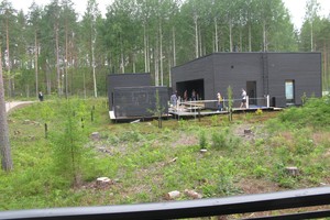 Į nuosavų namų kiemus atkeliauja miško paklotė: kaip jums tai?