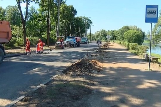 Kauniečius išgąsdino mieste augančių medžių kirtimas