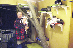 Lietuvių muzikos legendai katės – balzamas nuo depresijos