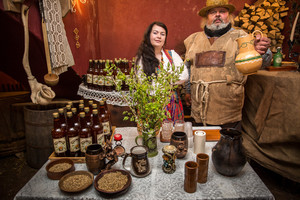 Pakruojo dvare aludarių ir gastronomijos šventė – Bumbulinės