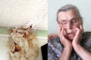 Pasiturimai gyvenusią panevėžietę prislėgė nepakeliamos bėdos