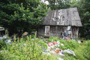 Svetimą valdą pavertė siaubo filmo verta vieta – šunys ėda vieni kitus