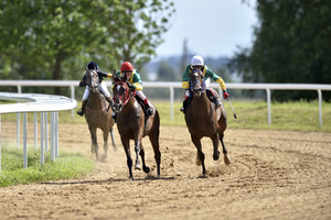 Grandiozinė žirgų ir skrybėlaičių fiesta pagaliau Lietuvoje