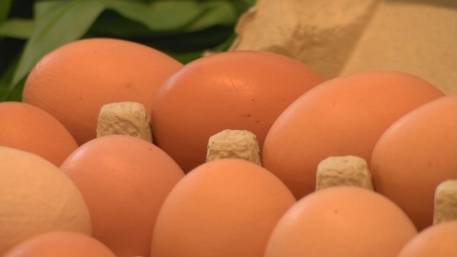 Kiaušinių krizė: Vytenis Andriukaitis šaukia susitikimą