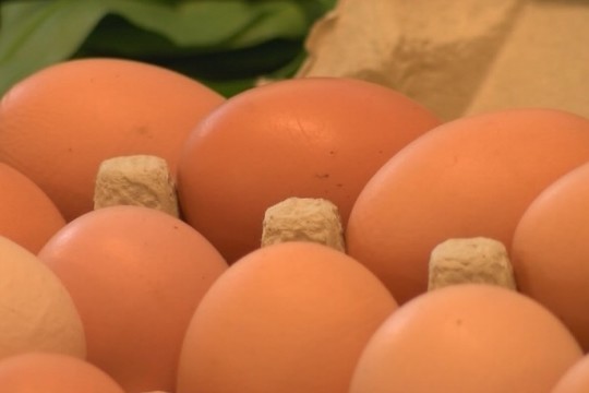 Kiaušinių krizė: Vytenis Andriukaitis šaukia susitikimą