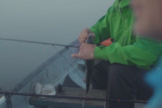 Ežero karšių žvejybą labai ankstyvą rytą