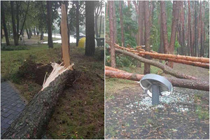 Audra nusiaubė gražų Lietuvos kurortą: virto net stori medžiai