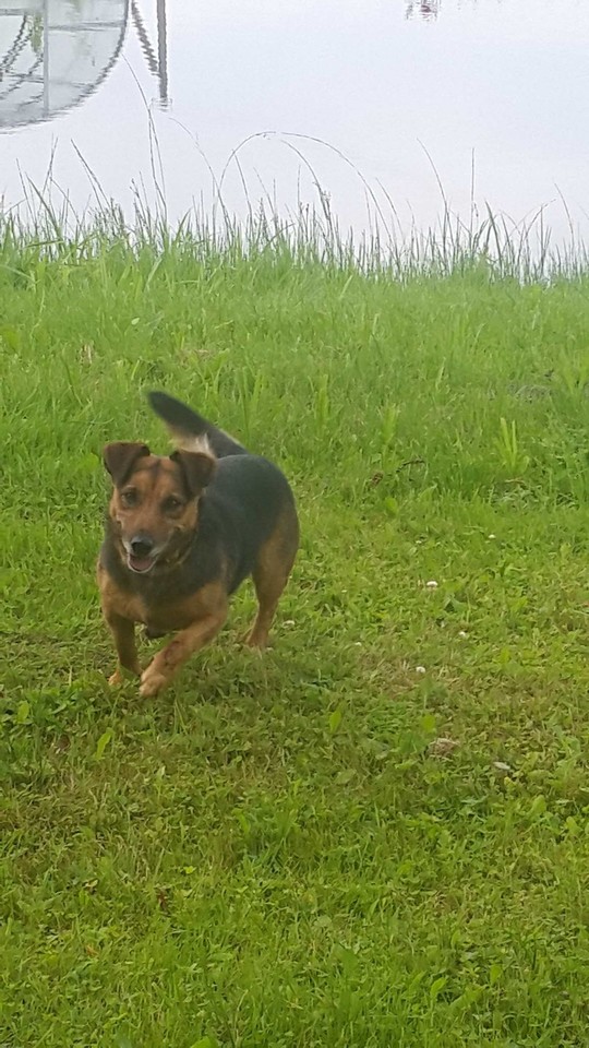 Po maudynių<br> Sidonos Norienės nuotr.