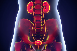Intymioje vietoje ilgai negyjanti opelė – vėžio pranašė