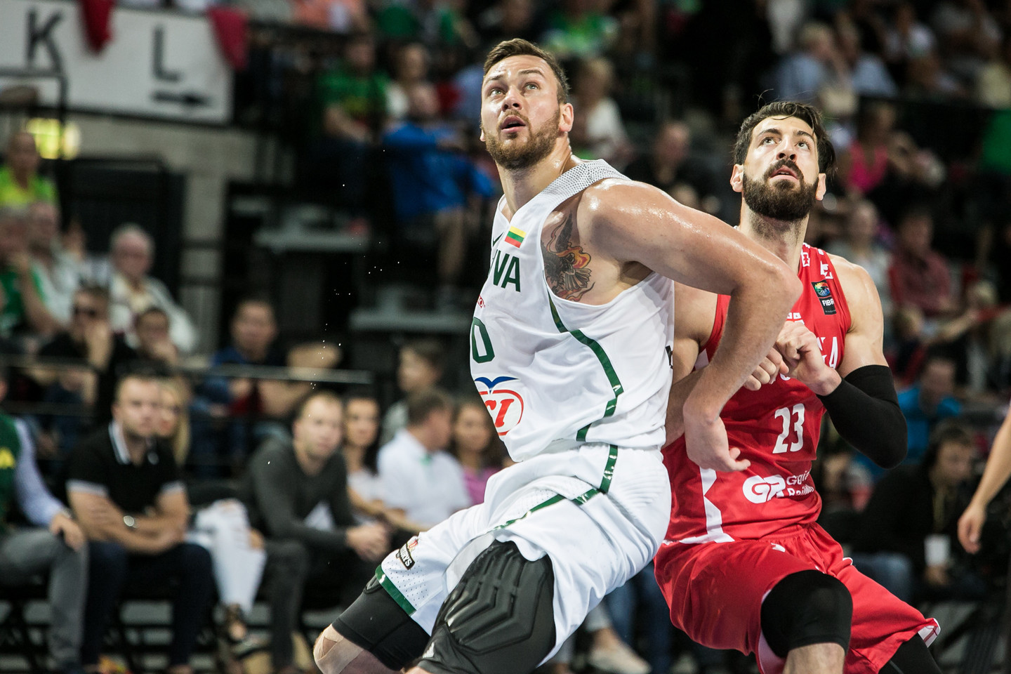 D.Motiejūnas kitą sezoną rungtyniaus Kinijoje.<br> G.Bitvinsko nuotr.