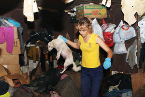 Šunų vadavimo operacija: lūšnoje rado aštuonis mažylius