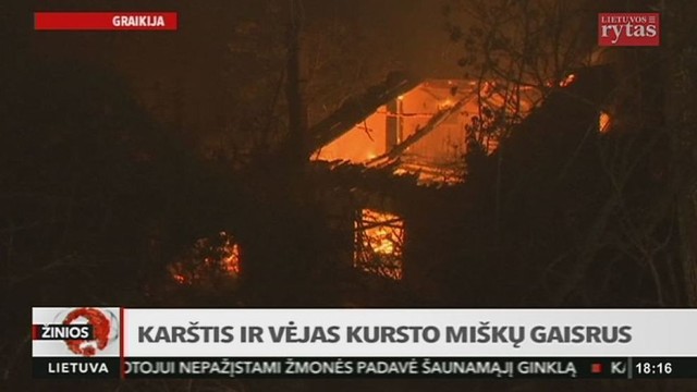 Karštis ir vėjas kursto miškų gaisrus Europoje