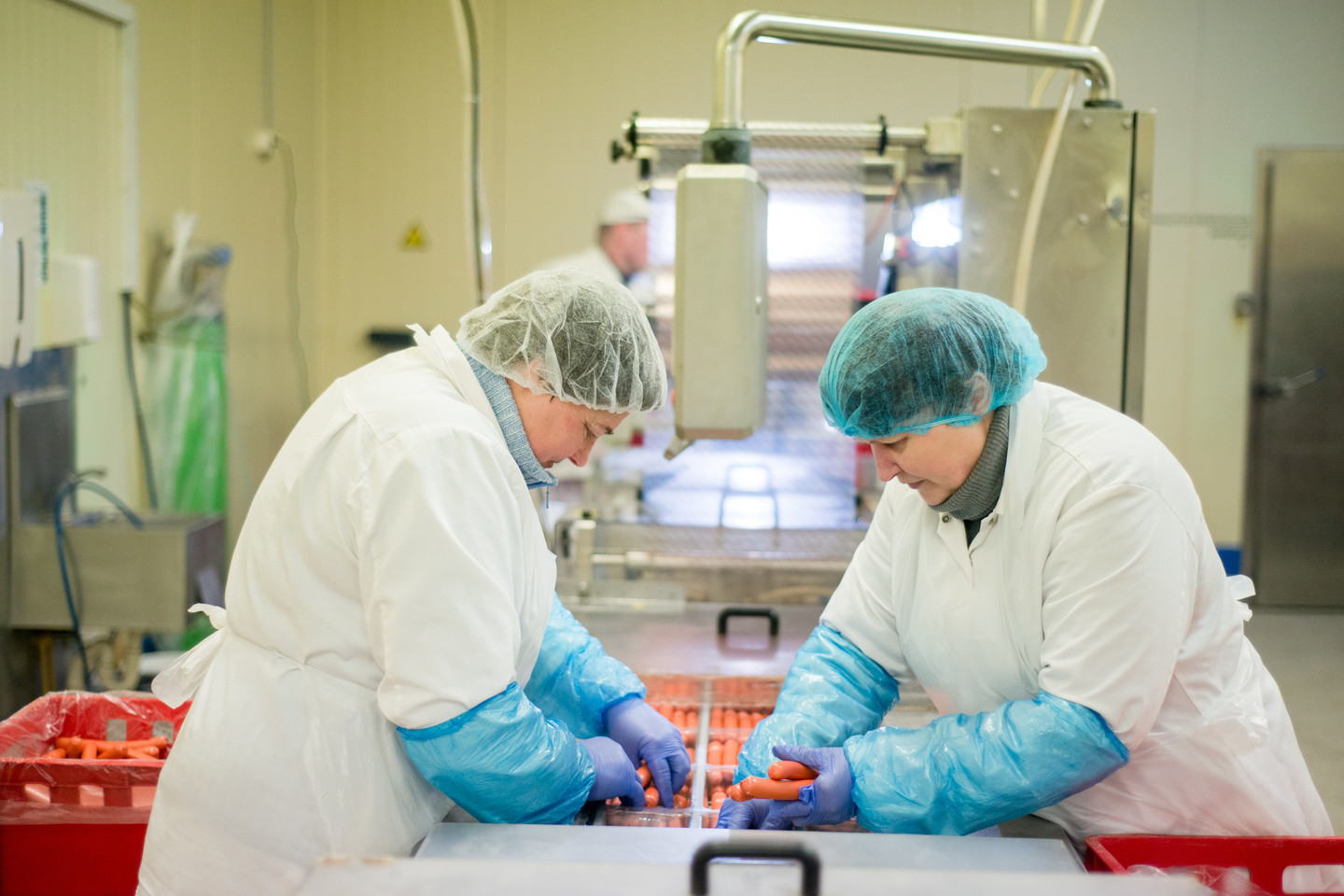 J.Stacevičiaus nuotr.